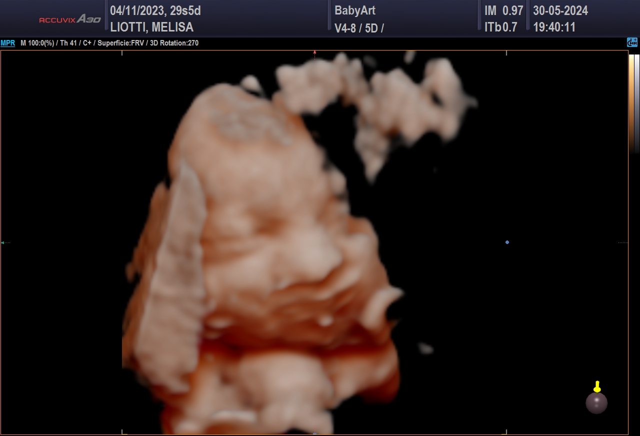 JULIA DE MELISA LIOTTI_0013.JPG